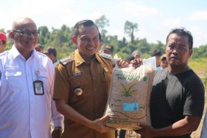 Penanaman Padi Di Lahan Kering Oleh Bupati Konawe Dalam Rangka Mendukung Ketahanan Pangan.