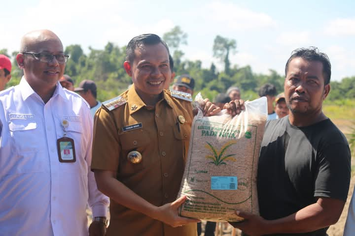 Penanaman Padi Di Lahan Kering Oleh Bupati Konawe Dalam Rangka Mendukung Ketahanan Pangan.